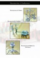 /album/imagenes/pagina-11-jpg/